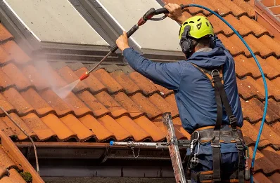 Démoussage et hydrofuge de toiture à Ribeyret